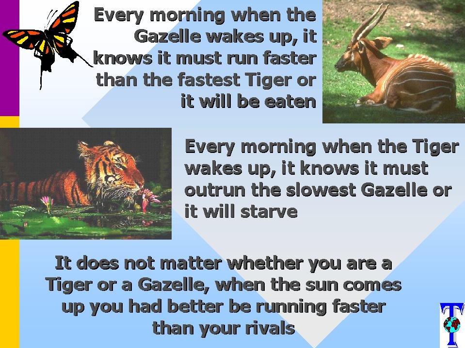 Gazelle.JPG (138158 bytes)