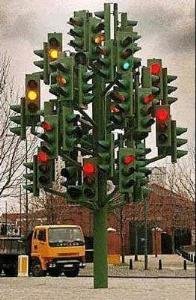 whichwaytogo.jpg (19630 bytes)